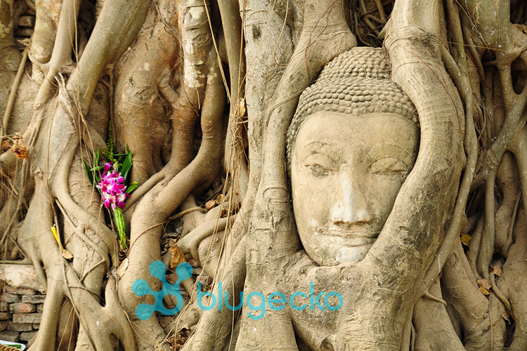 Ayutthaya Day Tour