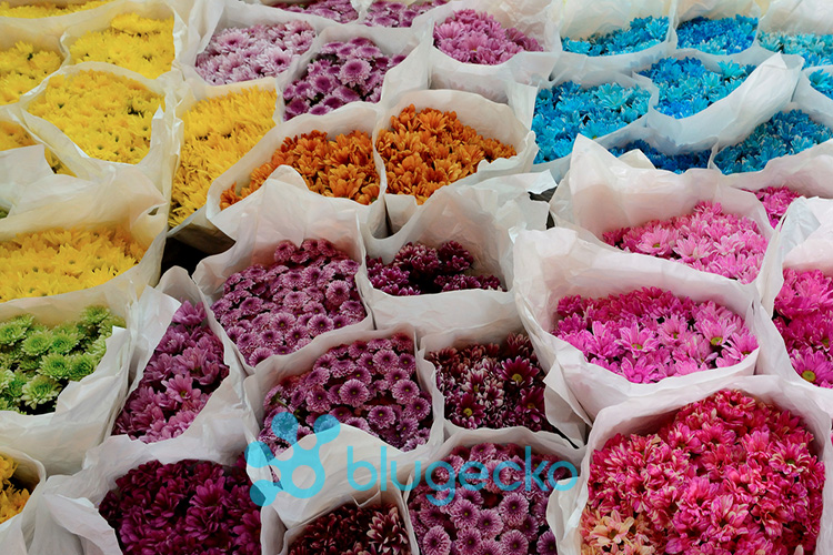 Bangkok Flower Market