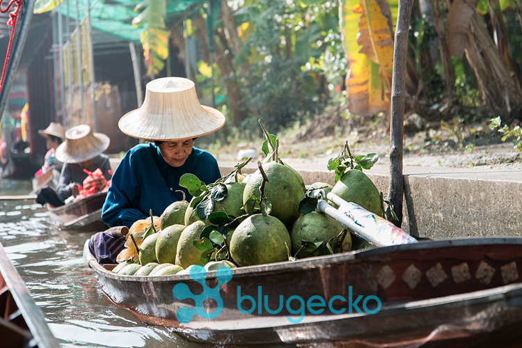 Flaoting Market