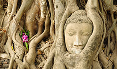 Ayutthaya Temple